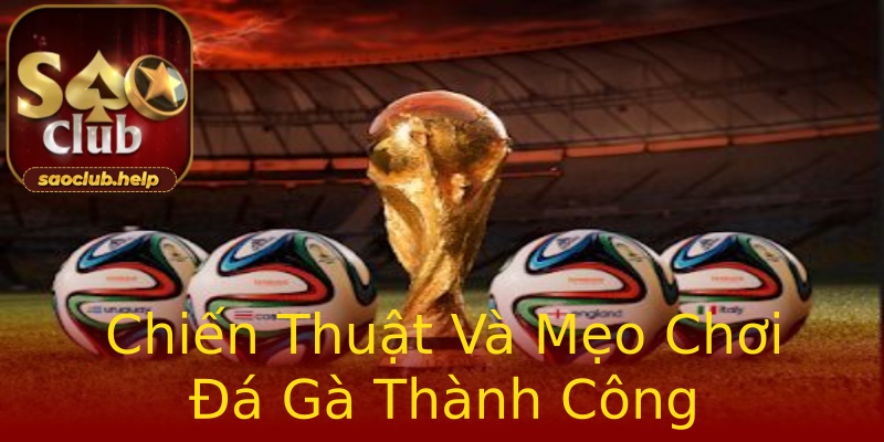 Chiến Thuật Và Mẹo Chơi Đá Gà Thành Công Chiến Thuật Và Mẹo Chơi Đá Gà Thành Công