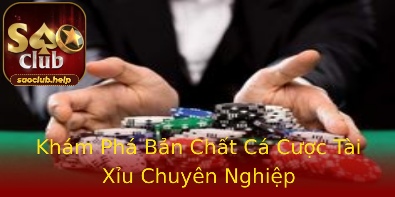 Khám Phá Bản Chất Cá Cược Tài Xỉu Chuyên Nghiệp Khám Phá Bản Chất Cá Cược Tài Xỉu Chuyên Nghiệp