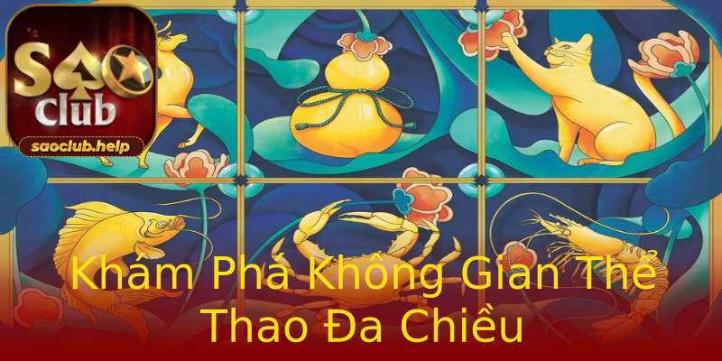Khám Phá Không Gian Thể Thao Đa Chiều Khám Phá Không Gian Thể Thao Đa Chiều