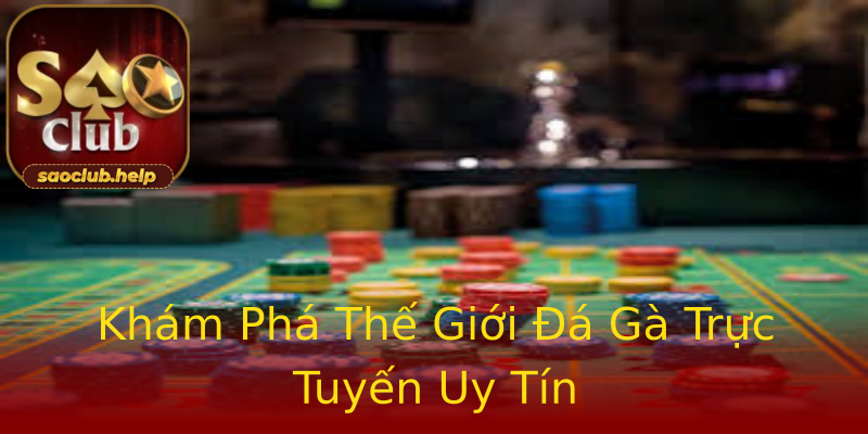 Khám Phá Thế Giới Đá Gà Trực Tuyến Uy Tín Khám Phá Thế Giới Đá Gà Trực Tuyến Uy Tín