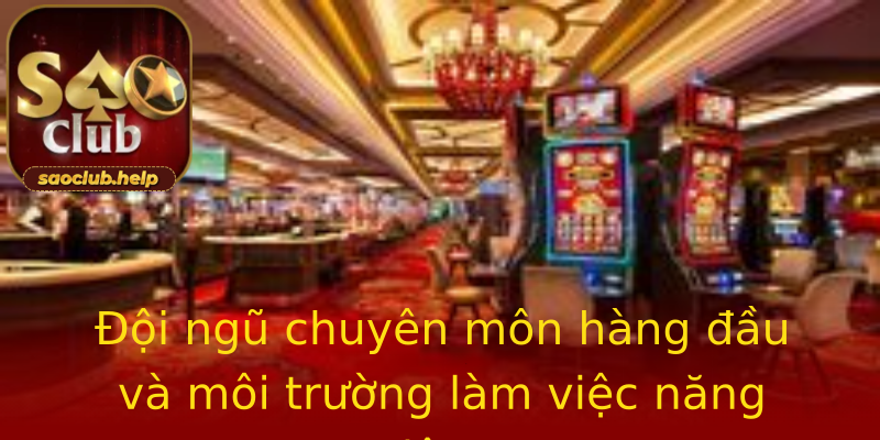 Đội ngũ chuyên môn hàng đầu và môi trường làm việc năng động Đội ngũ chuyên môn hàng đầu và môi trường làm việc năng động