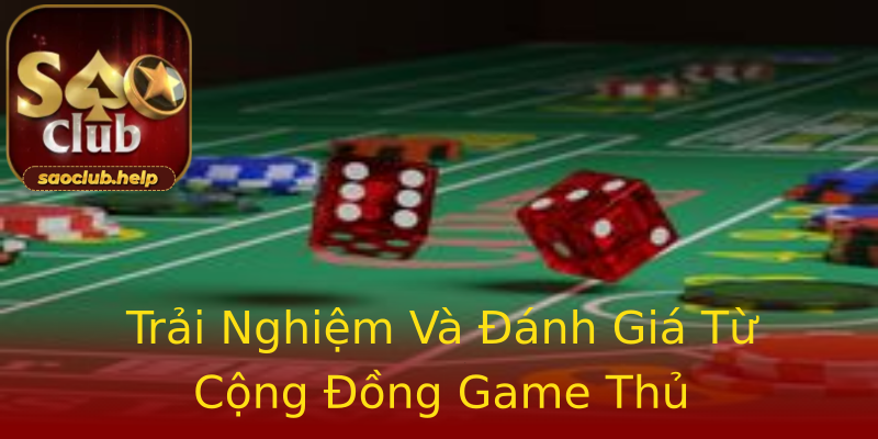 Trải Nghiệm Và Đánh Giá Từ Cộng Đồng Game Thủ Trải Nghiệm Và Đánh Giá Từ Cộng Đồng Game Thủ
